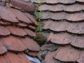 roof damage with snow guards