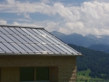 terne roof in the environment